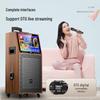 Soaiy SA-K10S Portable Karaoke Speaker (CN version)