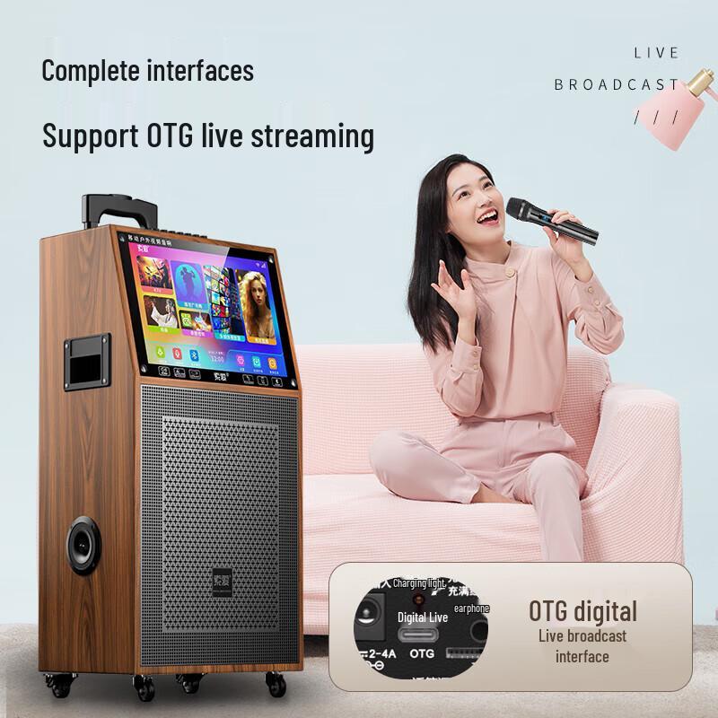 Soaiy SA-K10S Portable Karaoke Speaker (CN version)