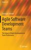 Книга Agile Software Development Teams