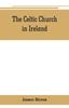 Книга The Celtic Church In Ireland by James Heron - Paperback