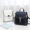 Internet Celebrity Small Square Bag Double Shoulder Women's Backpack Popular Bag 2025 New Trendy Versatile Shoulder Messenger Bag Women's Bag