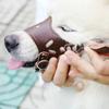 Регулируемый намордник для собак с защитой от прикуса и вентиляционными отверстиями. Удобная дышащая безопасная крышка для рта собаки.