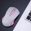 Q2 Symmetric Design 1200DPI Optical Mini Wireless Mouse for Laptop Computer