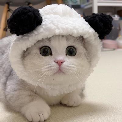 Милая шапка с животными кошкой Кошки Пушистый кролик Свинья Панда Дизайн Шляпа Веселая шляпа белого гуся Регулируемый головной убор для котят Праздничный аксессуар для костюма для вечеринки
