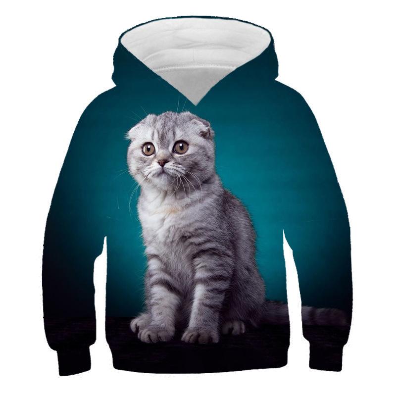 Autumn 3D Cat Pattern Printed Top Fashionable Casual Long Sleeved Children's Boy Hoodies
