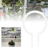 Clear Acrylic Circular Plant Support Stake Round Acrylic Garden Stand Plant Bracket for Climbing Plants for Plants Growth