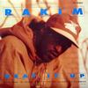 12-дюймовая пластинка RAKIM Heat It Up MCA1254742MCA1 MCA Records 1993 US Rap HipHopRB Б/у