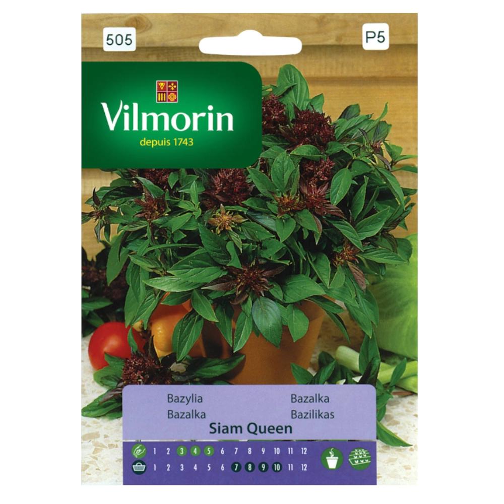 Siam Queen Basil 0.5g - VILMORIN