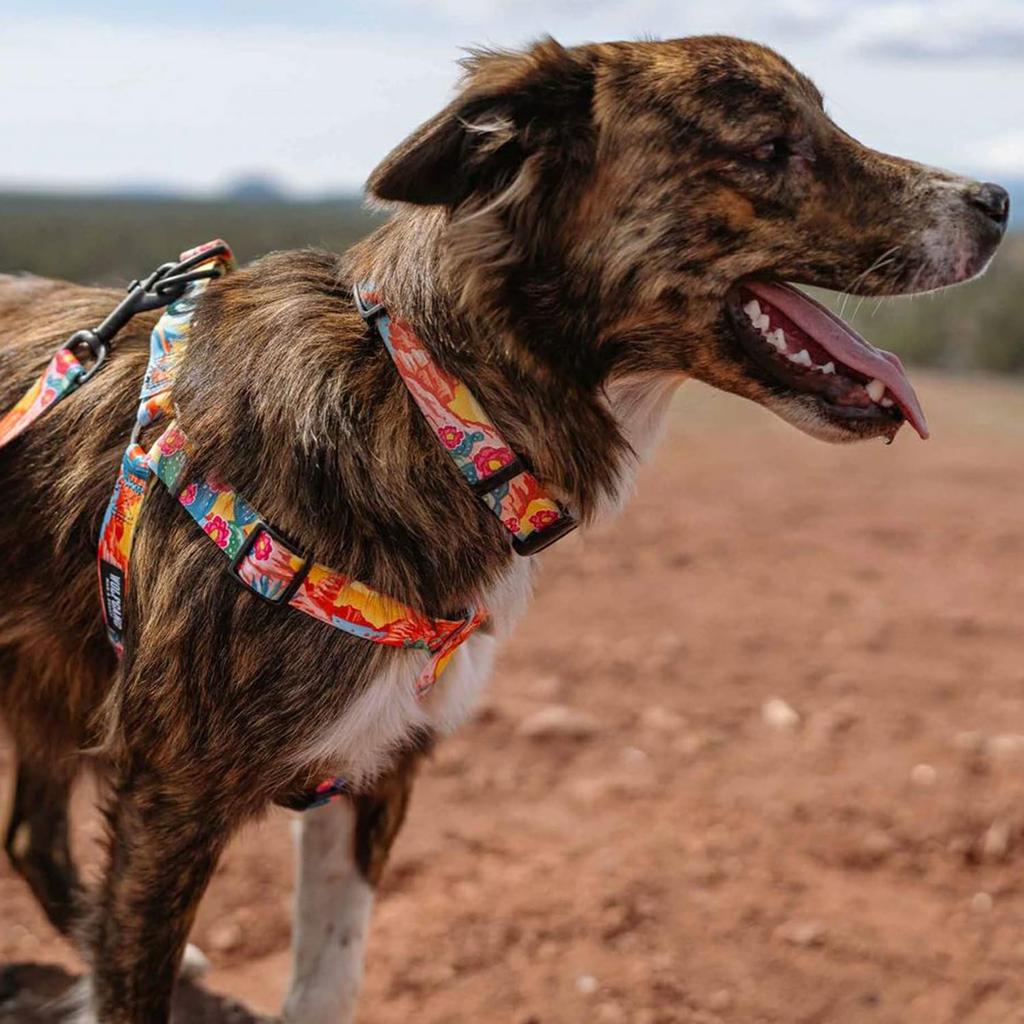 WOLFGANG MarbleWave Harness Width X Chest for (Medium Size) 1.6cm 40-61cm [Harness Medium-sized Dogs]