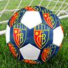 1 шт. Футбольный мяч FC Basel 1893, размер 5, Praha, Мяч для мини-футбола, Цветной, Для всех возрастов, Машинная строчка, ПВХ, Готов к соревнованиям, Прочный, Высокий отскок
