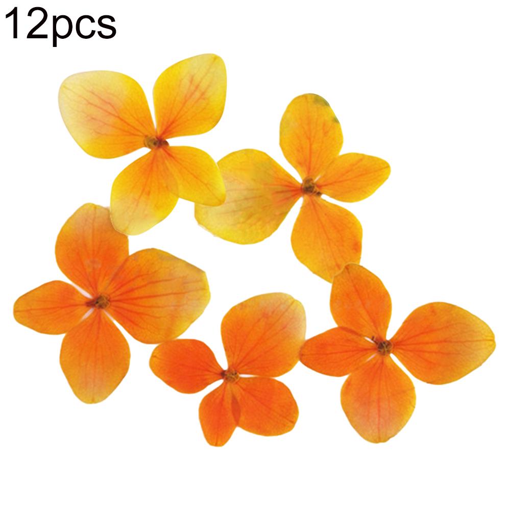 Yousheng Dried Flower 12Pcs Pressed Plant Specimen Epoxy Resin Phone Decor DIY Accessory