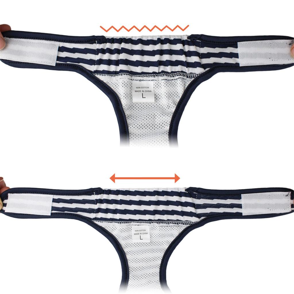 Pet Dog Health Physiology  Menstrual Physiological And Sanitary Pants