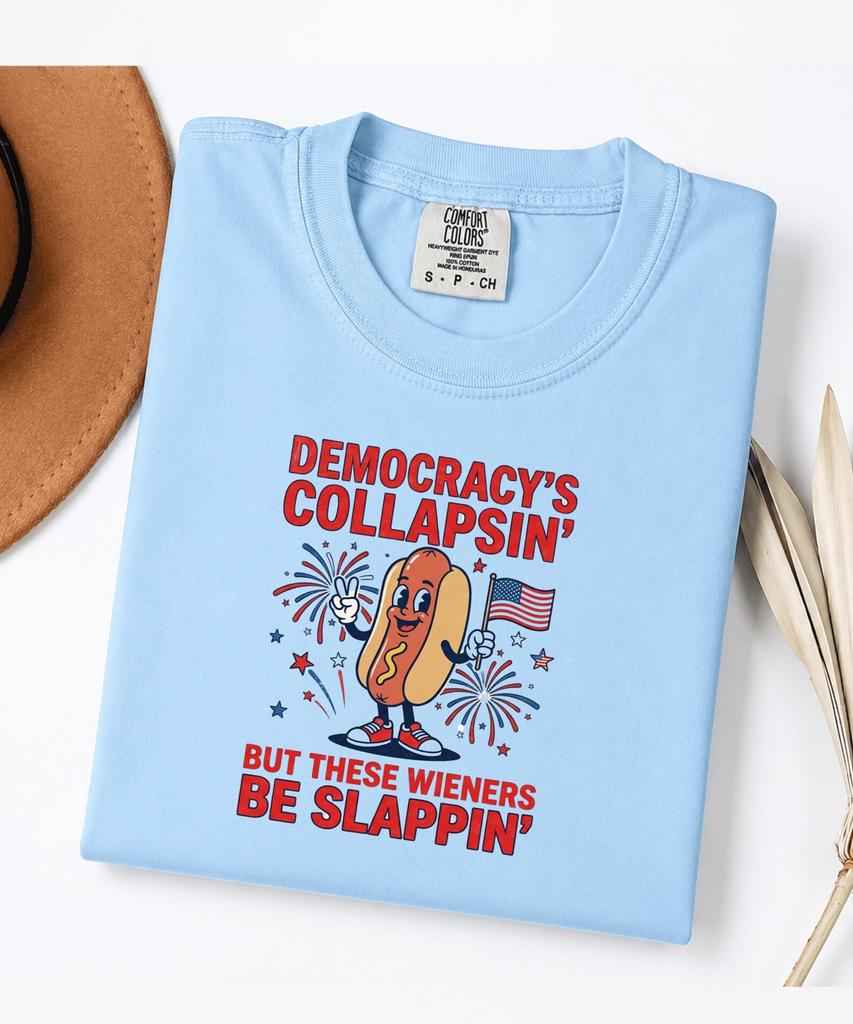 Funny Patriotic Shirt Democracy's Collapse Funny Hot Dog 4th July 250 Years T-Shirt, USA Humor Gift Graphic Tee