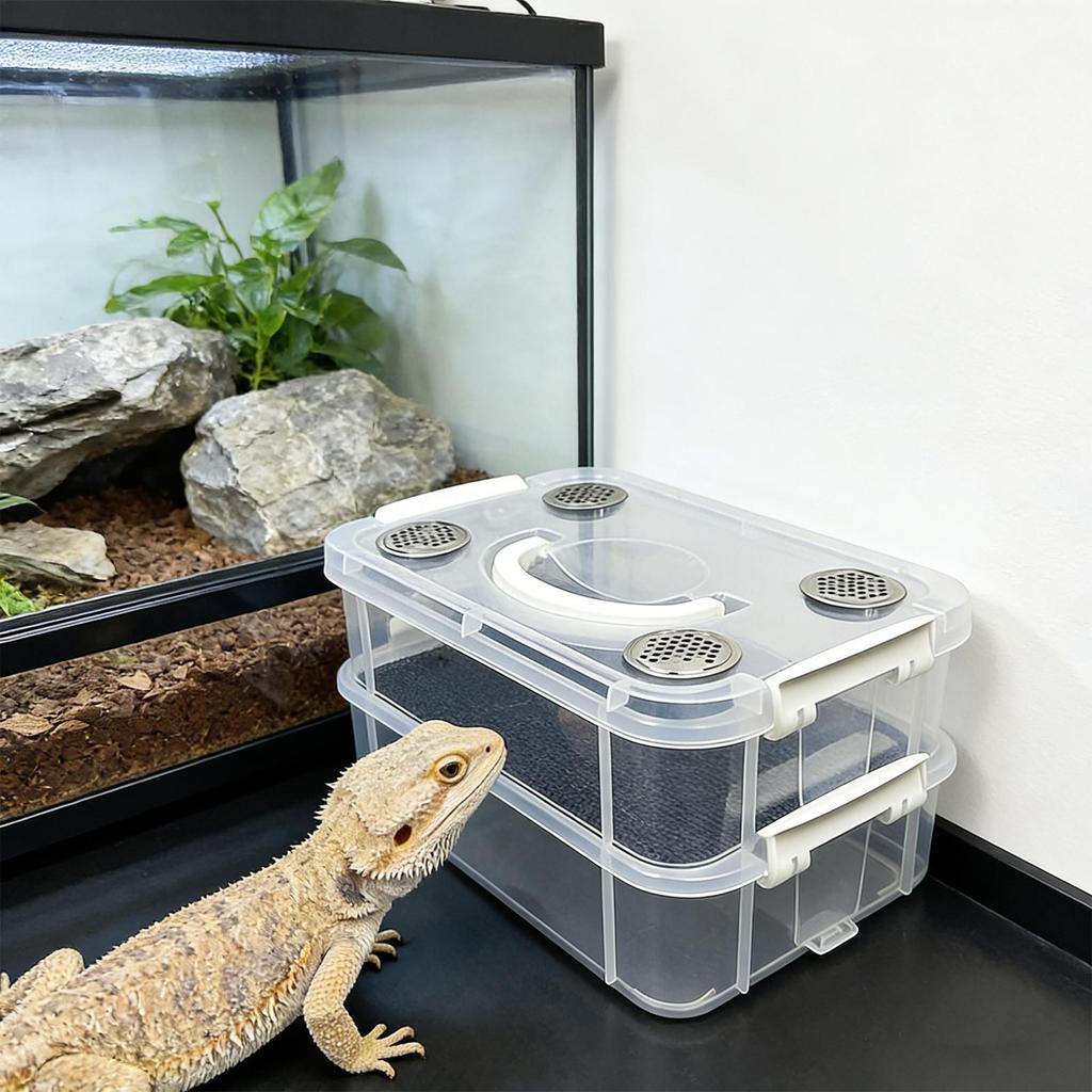 Mealworm rearing box, silkworm rearing box, double-mesh filter and ventilation rearing box, feces separation box, transparent