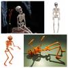 Toys Haunted House Decoration Bone Model Halloween Human Skeleton Body Figurine Pumpkin Skull
