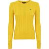 Polo Solid Logo Embroidered Crew Neck Long Sleeve Sweater Women Sweater Yellow 211910421-022
