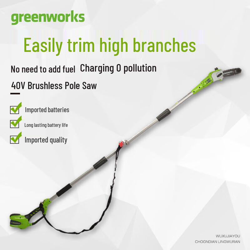 Greenworks GJ4 Cordless Pole Saw CN plug (adapter included)