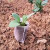 100Pcs Seedling Plants Nursery Bags Fabric Eco-Friendly Growing Planting Bags