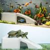 Compact Aquarium Kit Transparent Ecological Cycle System Durable Fish Tank  Bedroom