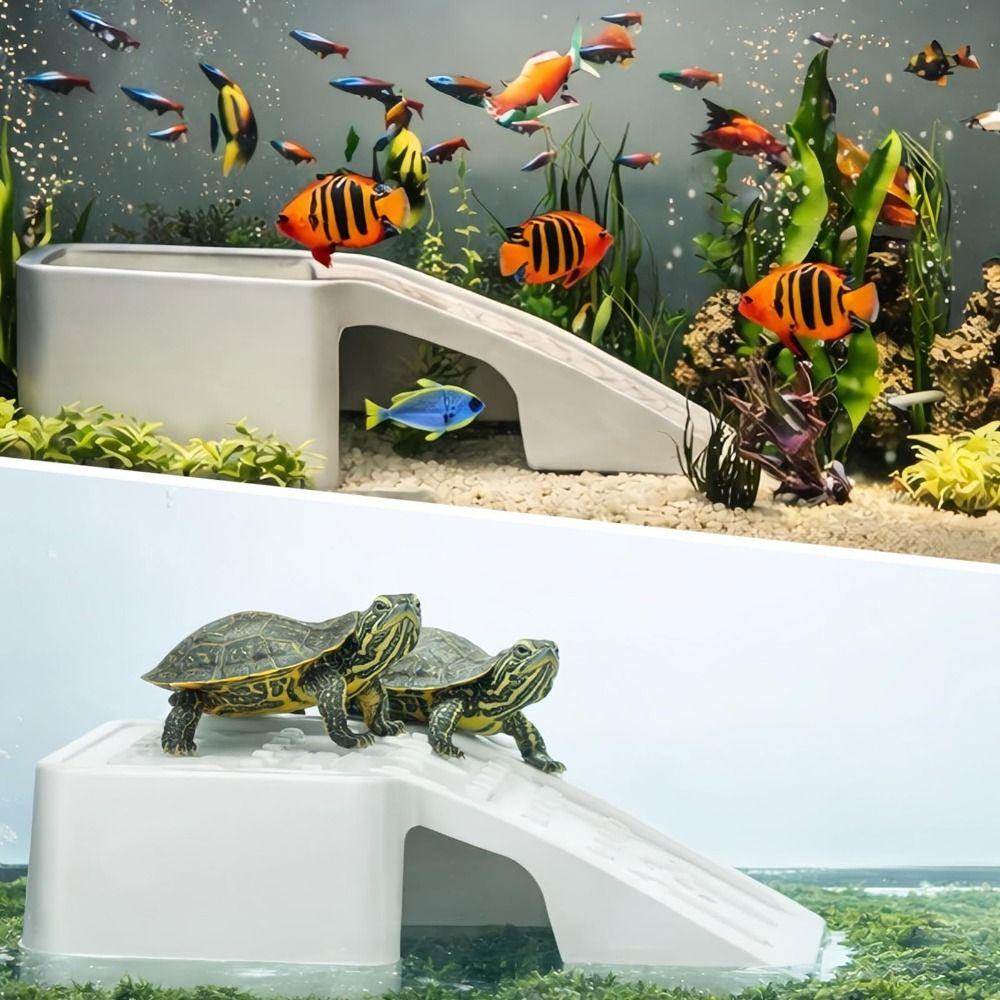 Compact Aquarium Kit Transparent Ecological Cycle System Durable Fish Tank  Bedroom