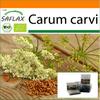 Garden in the Bag - Органический - Тмин - 800 семян - С субстратом в подходящем пакете-стойке - Carum carvi