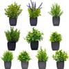 10-Piece Decorative Small Potted Green Plants for Home & Office