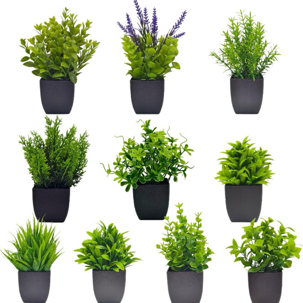 10-Piece Decorative Small Potted Green Plants for Home & Office
