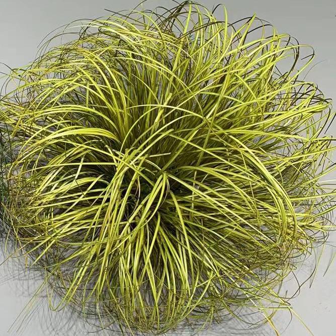 Искусственный шар из травы для декора помещений и фотографии