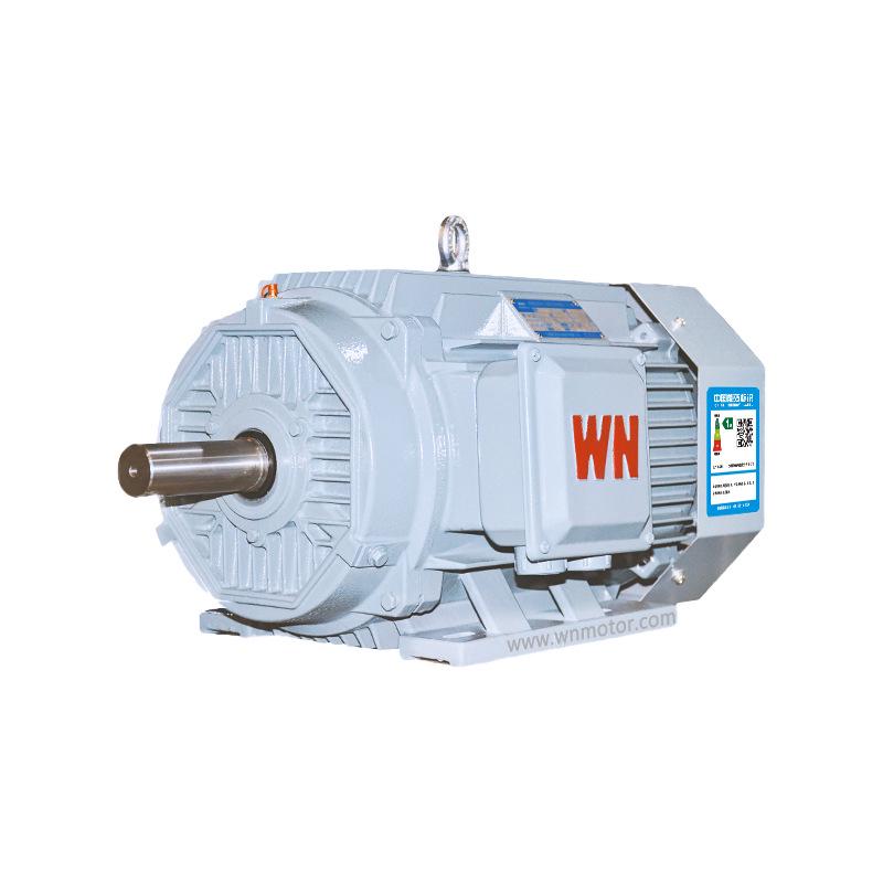 Anhui Wannan Motor YE5 Series All Copper Coil 30kW 37kW Three-Phase Asynchronous Motor