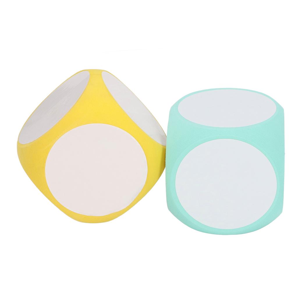 2pcs Dry Erase Dice Set Write On Wipe Off Dry Erase Blocks Blank Dice Educational Supplies for Kids