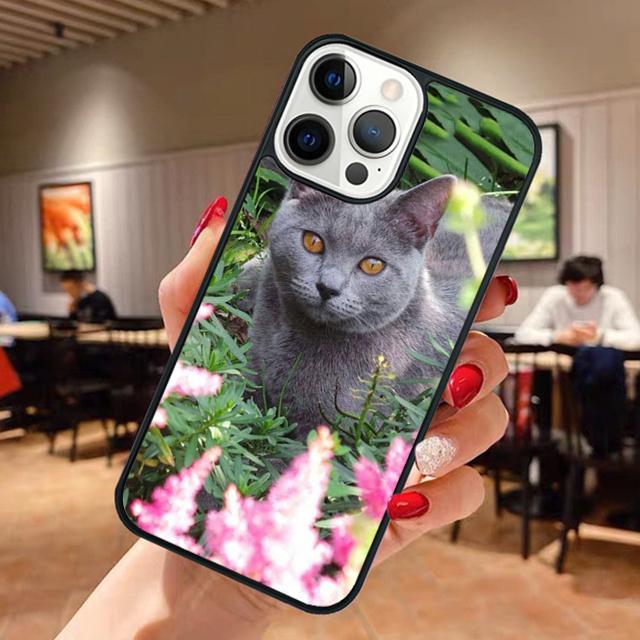Красивый Серый Британский Короткошерстный Кот Чехол Для Телефона Для iPhone 17 Air 13 12 14 15 16 Чехол Для Apple Pro Max Plus