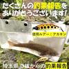 Stream Trout Minnow 5.2g 5.0cm Sinking 5 Colors Included Lure Set Streamlined Type