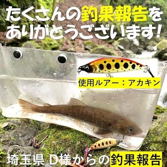 Stream Trout Minnow 5.2g 5.0cm Sinking 5 Colors Included Lure Set Streamlined Type
