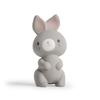 Ingenuity Sylvie the Rabbit Natural Rubber Teether Months and Chewing Plush Toy Hand Play 13076 [0 Up]