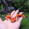 1/3/6Pcs Mini Fox Figurines Resin Miniature Foxes Landscape Fox Figurine Party Favors Garden Home Decor