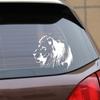 Car Accessories Safety Mark Bumper Sticker Decals Reflective Sticker Lion Stickers Car Stickers