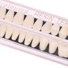 56Pcs/2Box Dental Material Resin Teeth Teaching Model Dedicated Teeth Dental Material Teeth Care Tool Dental Oral Material