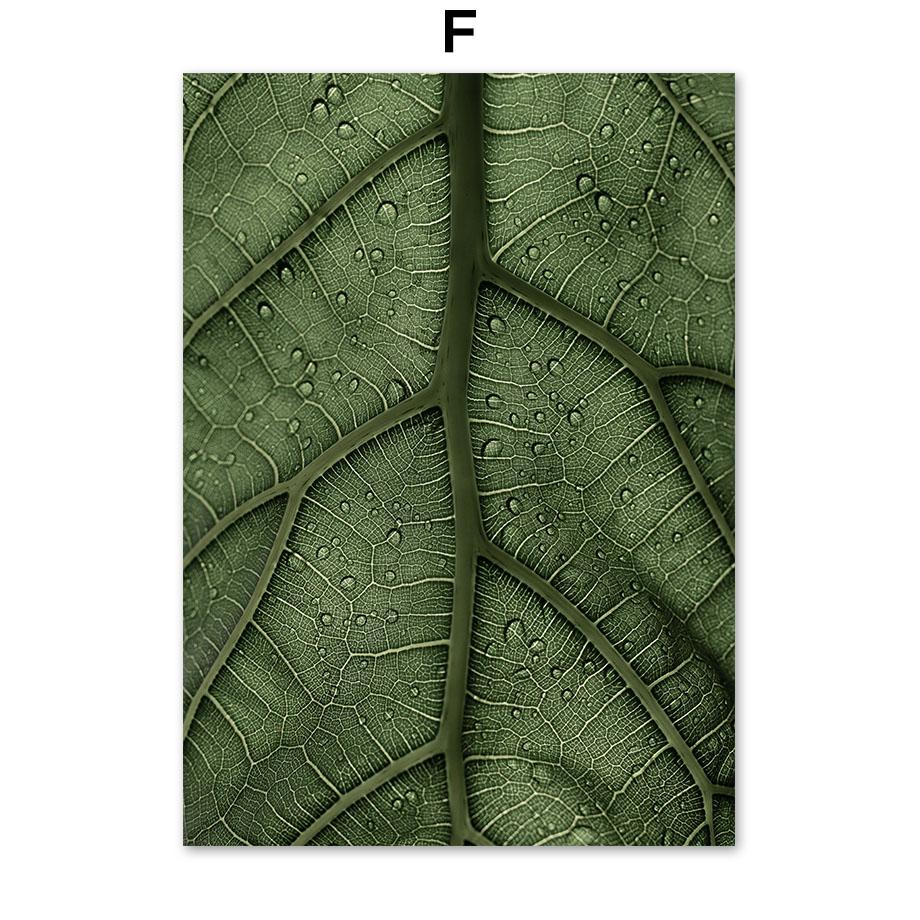 Лилия, трава, лист, туман, лес, озеро, замок, постеры на скандинавскую тему и принты, холст, живопись, настенные художественные фотографии для гостиной, домашний декор