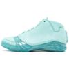 23 Solefly Florida Marlins Jordan 887230-332
