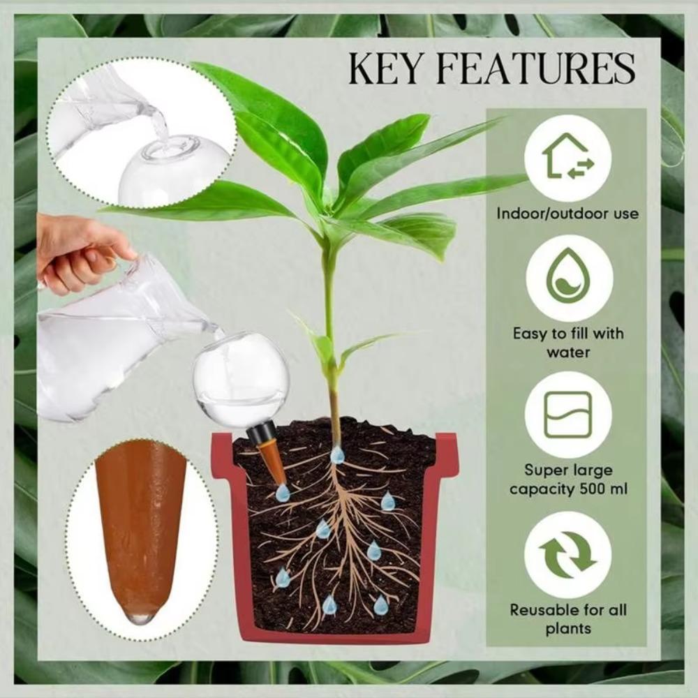 2pcs Tranaparent Self Watering Plant Watering Bulbs Flower Pot Seepage Water Globes  The Lazy