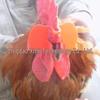 Novelty Chicken Glasses - No-Pin Design for Roosters, Large Quantity Discounts