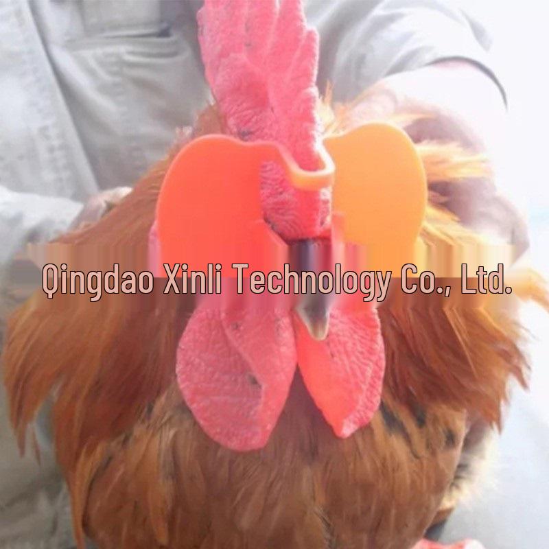 Novelty Chicken Glasses - No-Pin Design for Roosters, Large Quantity Discounts