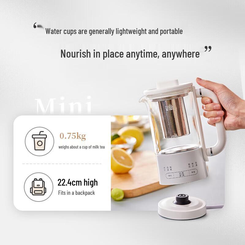 Bear 0.6L Mini Health Pot & Tea Maker