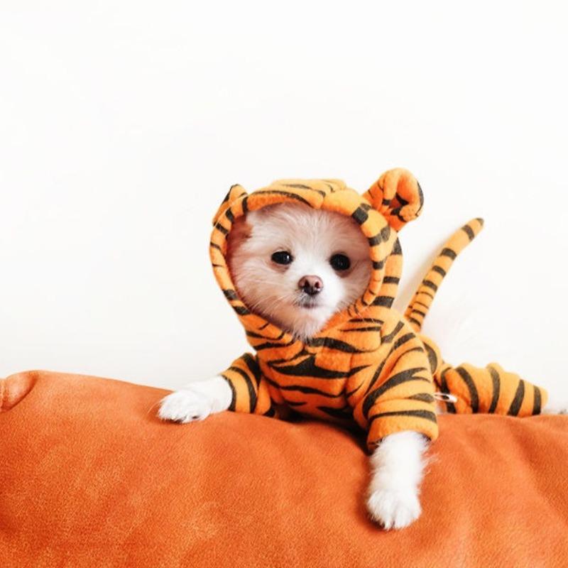 Puppy Tiger Hoodie Warm Fce Lined Dog Clothes Autumn Winter Tiger Transformation Suit for Bichon Pomeranian Four Legged Suit