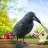Repellent Life Size Crow Black Crow Decoration Halloween Weed Pest Decoy  Courtyard Garden