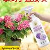 Concentrated Hydrangea Fertilizer Spray for Potted Plants