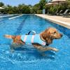 High Flotation Dog Life Jacket Adjustable Pet Surfing Costume Dog Swimming Clothes  for Dogs Cats