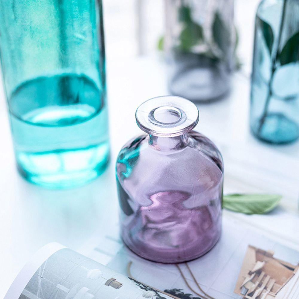 Living Room Glass Bottle Flower Decoration Flower Vase Glass Vase Table Decor Home Decoration