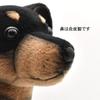 BH3877 HANSA Pinscher 43