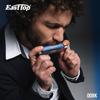 Набор из 12 предметов: диатоническая губная гармоника East Top Blues Harp (10-20 дюймов), латунная, холщовая, с функцией чистки, отверстиями, тонами, чехлом, футляром и салфеткой, для начинающих.